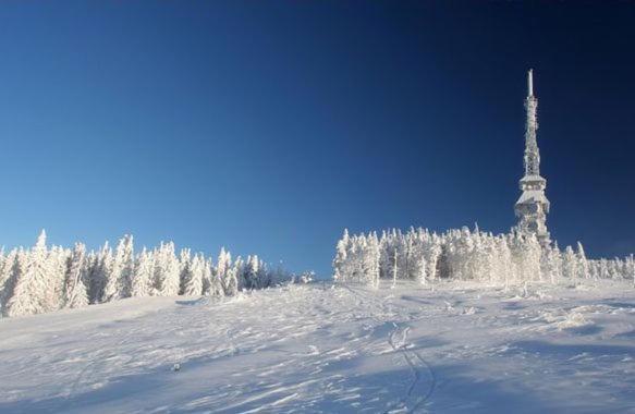 Domek Podlas Щирк Екстериор снимка